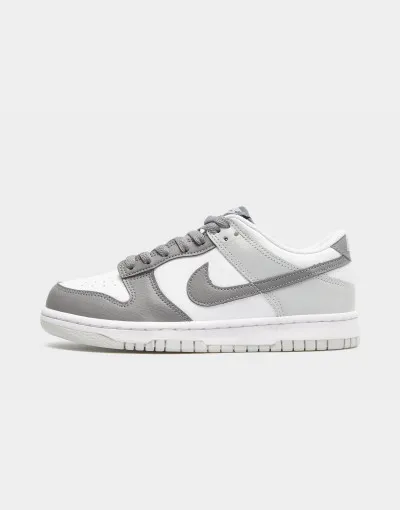 Nike Dunk Low za juniore